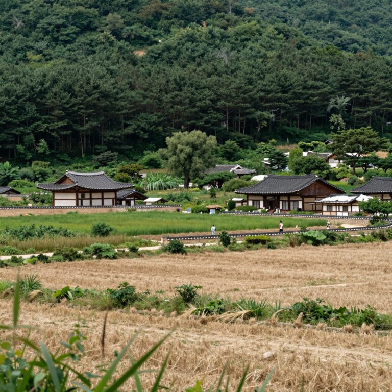 진천 농다리 위에서 바라본 풍경과 주변 자연