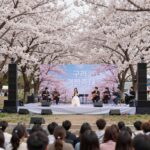 구례 벚꽃축제 개막식 공연장 야외 무대와 벚꽃 나무