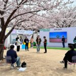 경기도 봄꽃축제에서 진행되는 다양한 체험 부스와 공연 장면