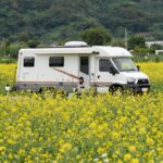 부여 세도 유채꽃밭과 캠핑카 차박지 풍경