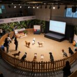 포천 펫스타 행사장 내 무대존과 플레이존 등 핵심 공간 배치도