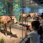 인천어린이과학관 무지개마물에서 아이가 물총 체험을 하는 모습