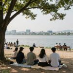 한강 서래섬 피크닉 콘서트 장소 전경과 탁 트인 한강 뷰