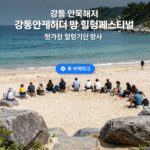 강릉 안목해변 강릉해양레저 펫가족 힐링페스티벌 행사장 위치 지도