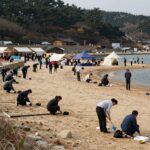 서천 장항항 물양장 전경과 축제 준비 모습