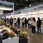 제주푸드앤와인페스티벌 행사장 내부 모습, 다양한 음식과 와인 부스가 있으며 사람들이 즐겁게 돌아다니고 있다.
