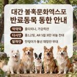 대구 불교문화엑스포 반려동물 동반 안내 포스터 및 규칙 설명