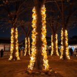 세종 낙화축제에서 나무에 매달린 낙화봉이 불타며 아름다운 불빛을 내뿜는 야간 풍경