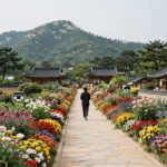 강진수국길축제의 장관, 보은산 일대 8km 수국길 풍경