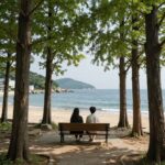 강원도 숙소 추천 베스트 3 나만의 휴식처 강릉 세인트존스호텔 오션뷰 테라스에서 바라본 강문해변과 소나무숲