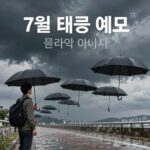 7월 태풍 예보 이미지