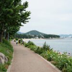 8월 서울가볼만한곳 남이섬 여름 강변 풍경과 산책로