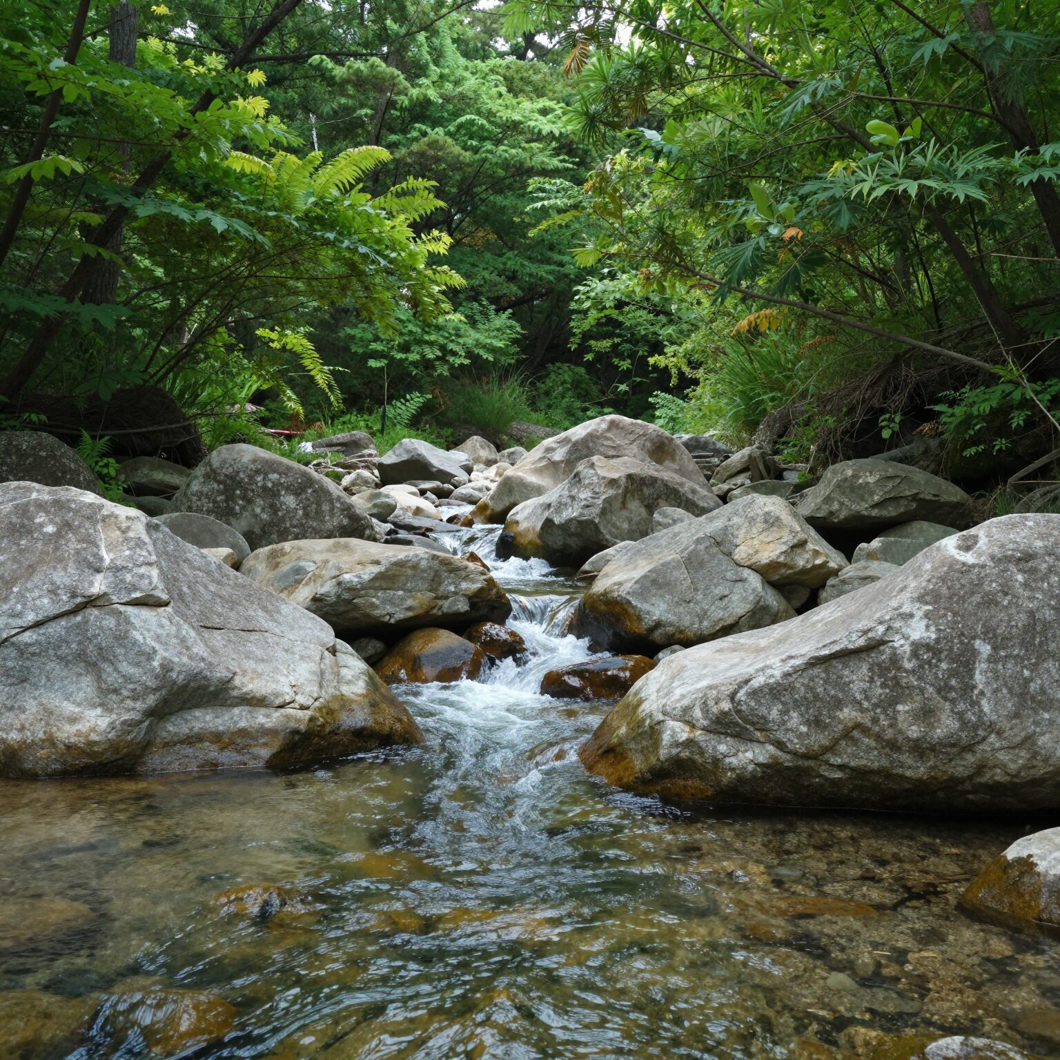 공주 마곡사 계곡 맑은 물과 주변 숲 풍경