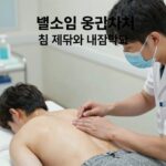 벌쏘임 응급처치 핵심 대처법 벌쏘임 응급처치 침 제거와 냉찜질 방법