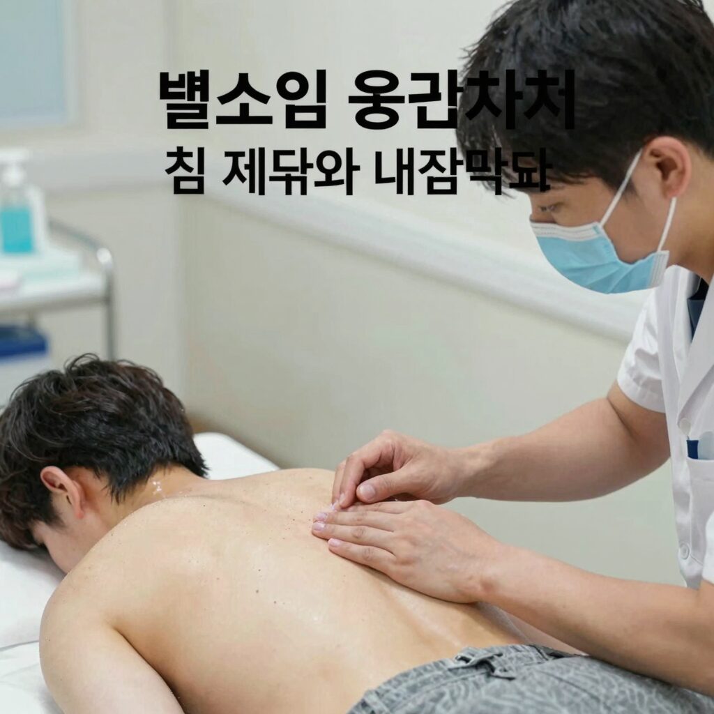 벌쏘임 응급처치 침 제거와 냉찜질 방법