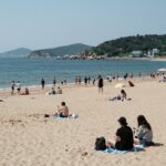 전국 해수욕장 개장일 정보 모음 인천 왕산해수욕장 백사장과 바다 풍경, 해수욕장 개장일 이후 많은 피서객들이 즐기고 있는 모습