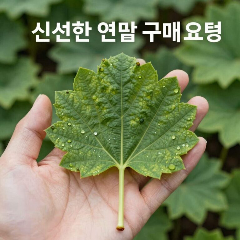 신선한 연잎 구매 요령
