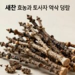 새삼 효능과 토사자 복용 주의사항 새삼 효능과 토사자 약재로 활용하는 새삼 덩굴 모습