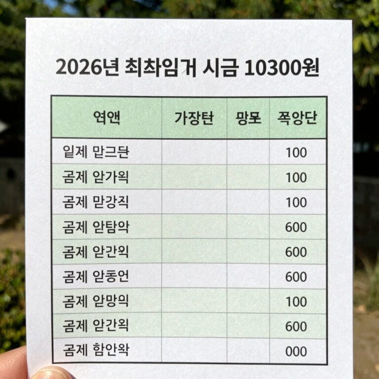 2026년 최저임금 시급 10320원 기준 월급과 공제 항목 표