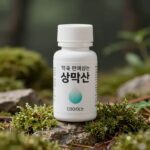 보생원 가격과 효능 복용법 한눈에 약국에서 판매되는 보생원 생맥산 제품 이미지