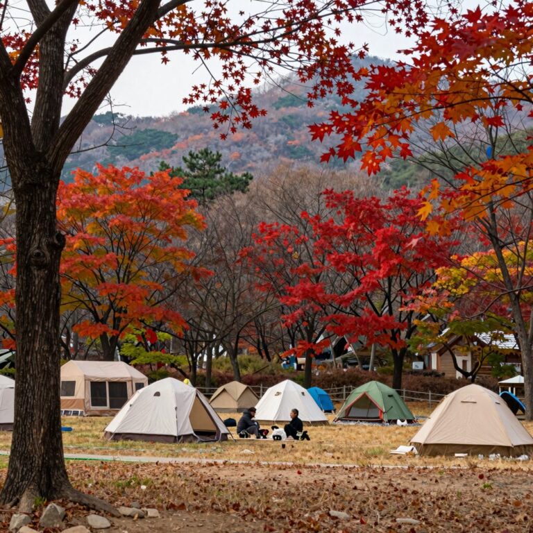 월악산 덕주야영장 가을 단풍 데크 구역 전경