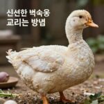 신선한 백숙용 닭 고르는 방법 피부 탄력과 색깔 확인
