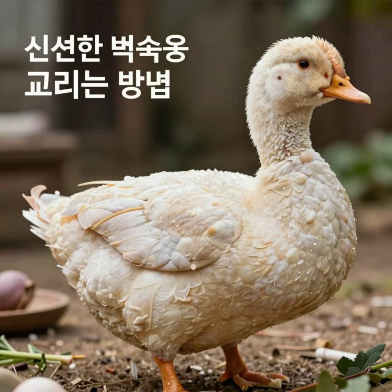 신선한 백숙용 닭 고르는 방법 피부 탄력과 색깔 확인