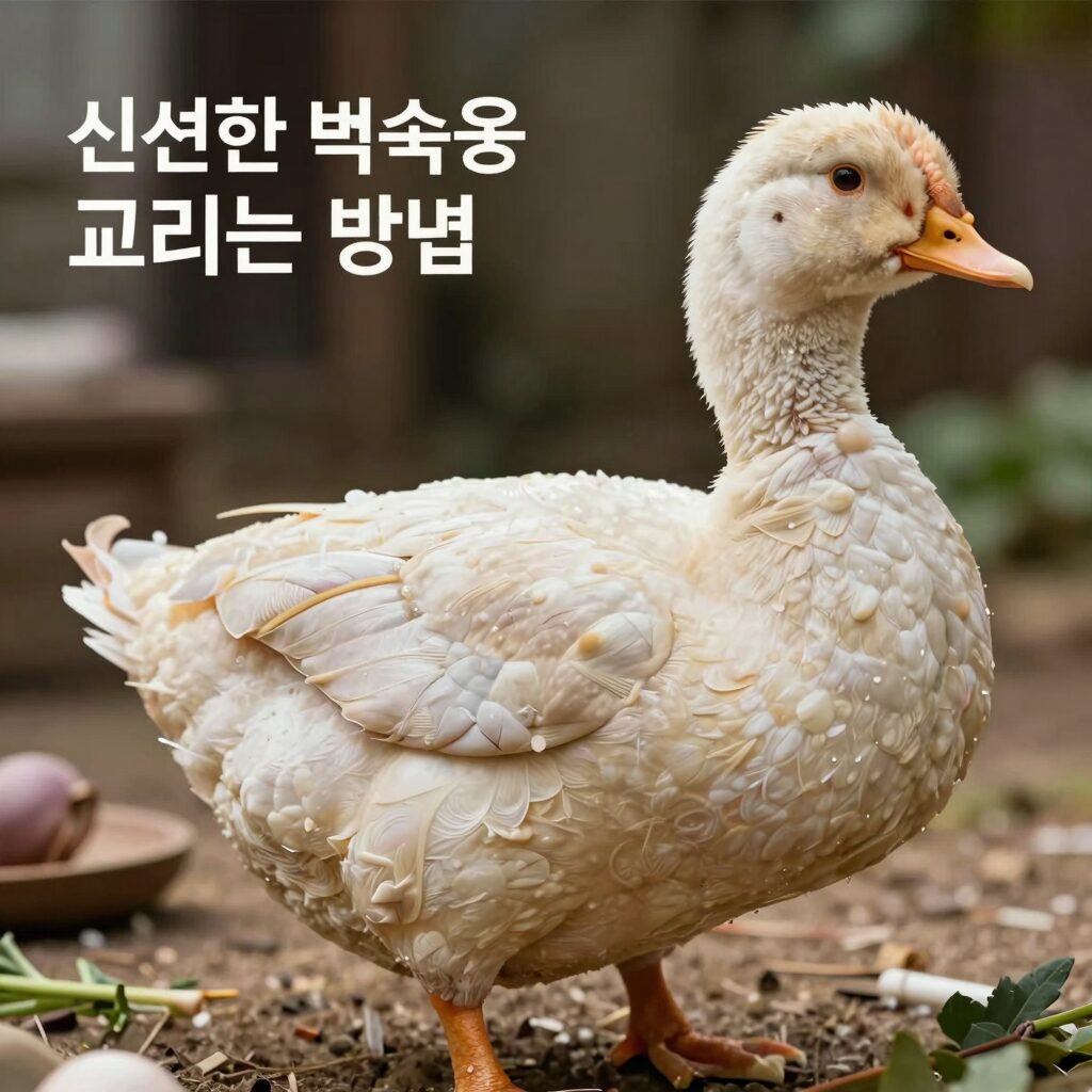 신선한 백숙용 닭 고르는 방법 피부 탄력과 색깔 확인