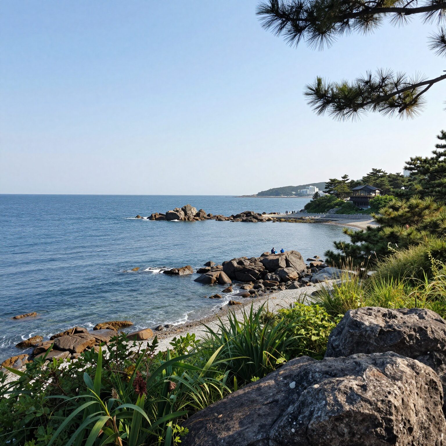강릉 스카이베이호텔 경포 인피니티풀에서 바라본 바다 전망