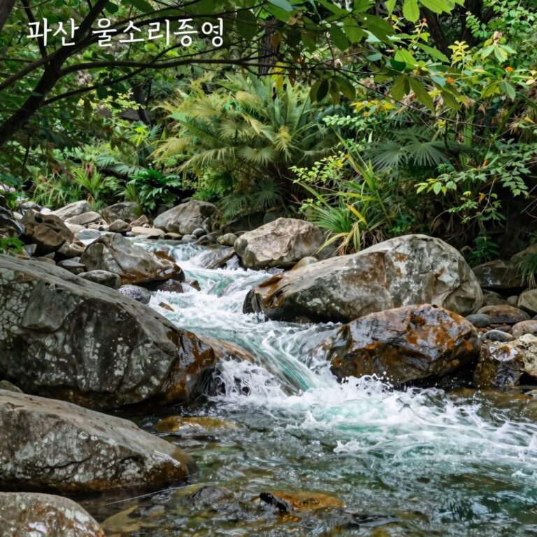괴산 물소리풍경 여름 계곡 풍경 사진
