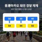 홍콩 마카오 태풍 경보 체계 숫자와 색깔 설명, 8호 이상 발령 시 대처 요령