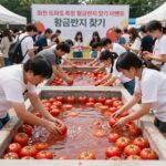 2025 화천 토마토 축제 후기와 2026 준비 화천 토마토 축제 황금반지 찾기 이벤트 현장. 사람들이 토마토 풀장에서 반지를 찾고 있다.