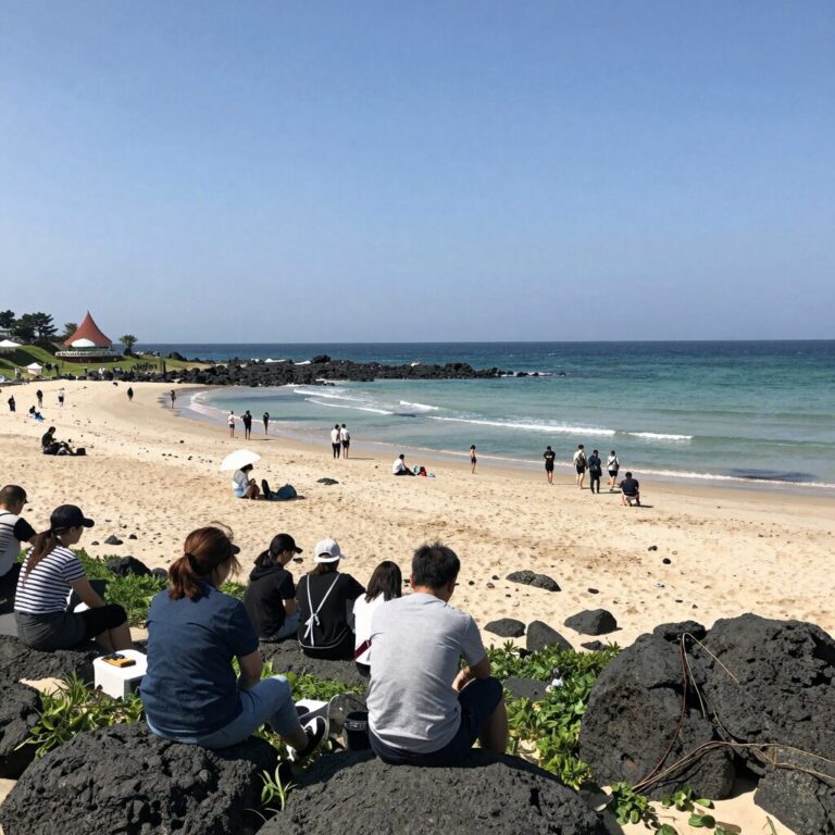 제주 물놀이장 전경과 방문객들이 즐기는 모습