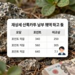 재산세 신용카드 납부 수수료 없이 혜택 챙기는 방법 재산세 신용카드 납부 혜택 비교표와 포인트 적립 방법