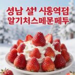 성남 설빙 신흥역점 딸기치즈메론설빙 메뉴 사진