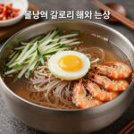 물냉면 칼로리 비교와 다이어트 팁 물냉면 칼로리 비교 분석을 위한 냉면 사진