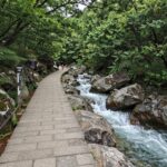와룡자연휴양림 데크 1번 자리에서 바라본 산책로와 계곡 전경
