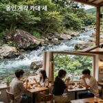 용인 계곡 카페 세곳 여름 추천 용인 계곡 카페 세 곳의 야외 테라스와 계곡 풍경 비교 사진