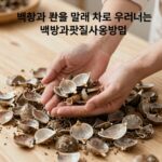 백향과 껍질을 말려 차로 우려내는 백향과껍질사용방법