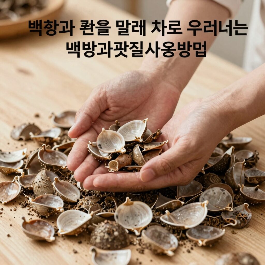 백향과 껍질을 말려 차로 우려내는 백향과껍질사용방법
