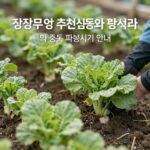 올해 김장무 씨앗 추천과 심는시기 준비 김장무 씨앗 추천 품종과 김장무 파종시기 안내