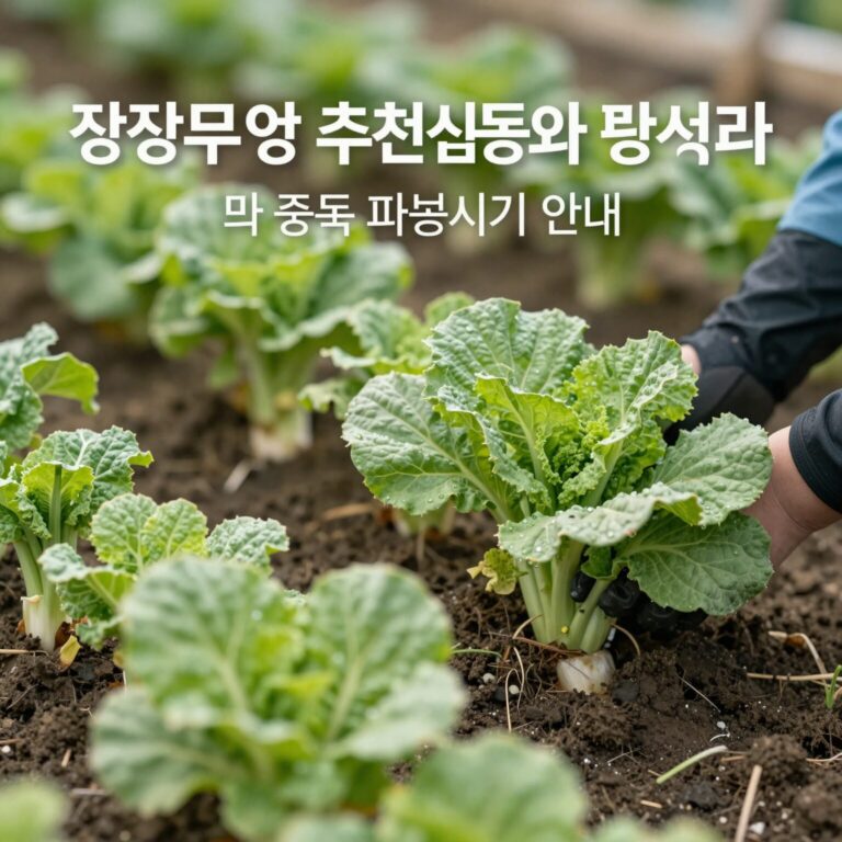 김장무 씨앗 추천 품종과 김장무 파종시기 안내