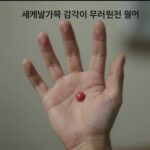 새끼발가락 감각 무뎌짐 원인과 치료 새끼발가락 감각이 무뎌진 원인을 설명하는 발 신경 그림