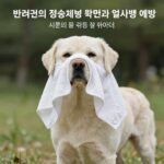 반려견의 정상 체온 확인과 열사병 예방을 위한 시원한 물수건