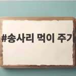 송사리 먹이 주기 이것만 알면 문제없어요 송사리 먹이 주기