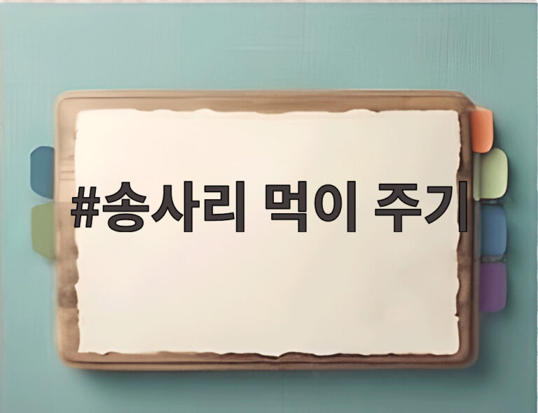 송사리 먹이 주기
