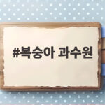 복숭아 과수원 고소작업차 도입 준비 복숭아 과수원
