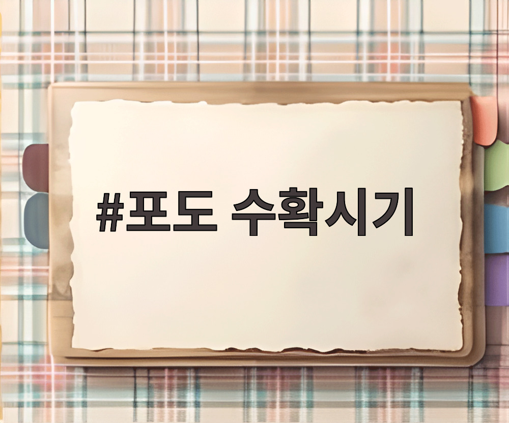포도 수확시기