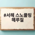 서해 스노쿨링 해루질 민어도 바다 서해 스노쿨링 해루질