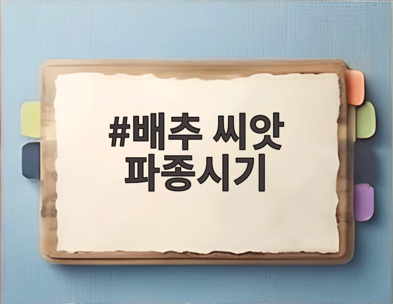 배추 씨앗 파종시기